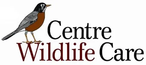 Centre Wildlife Care