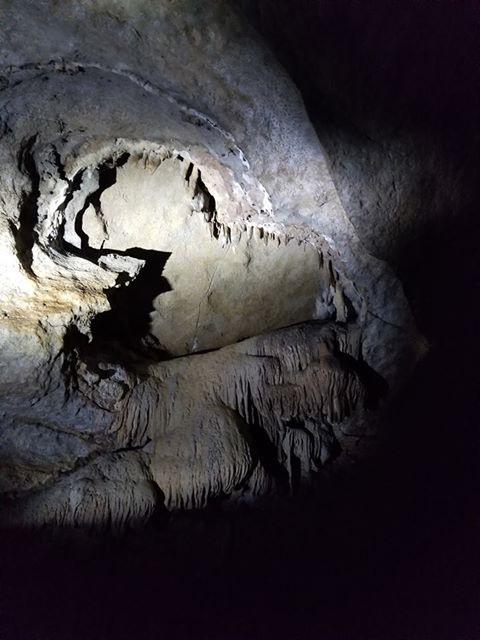 Gallery image 17