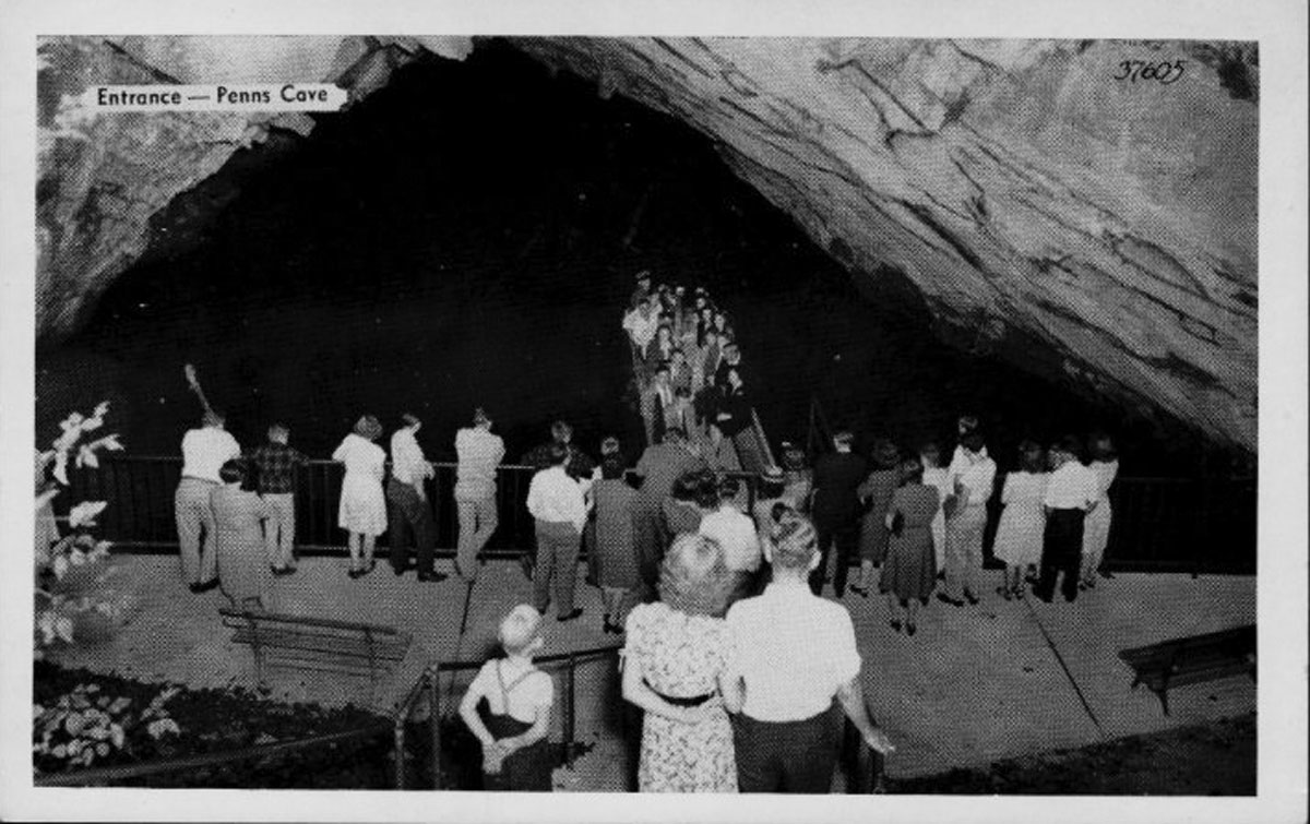 Gallery image 10