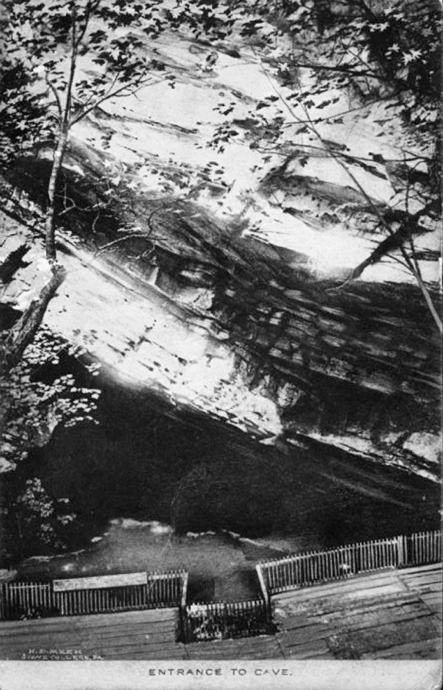 Gallery image 9