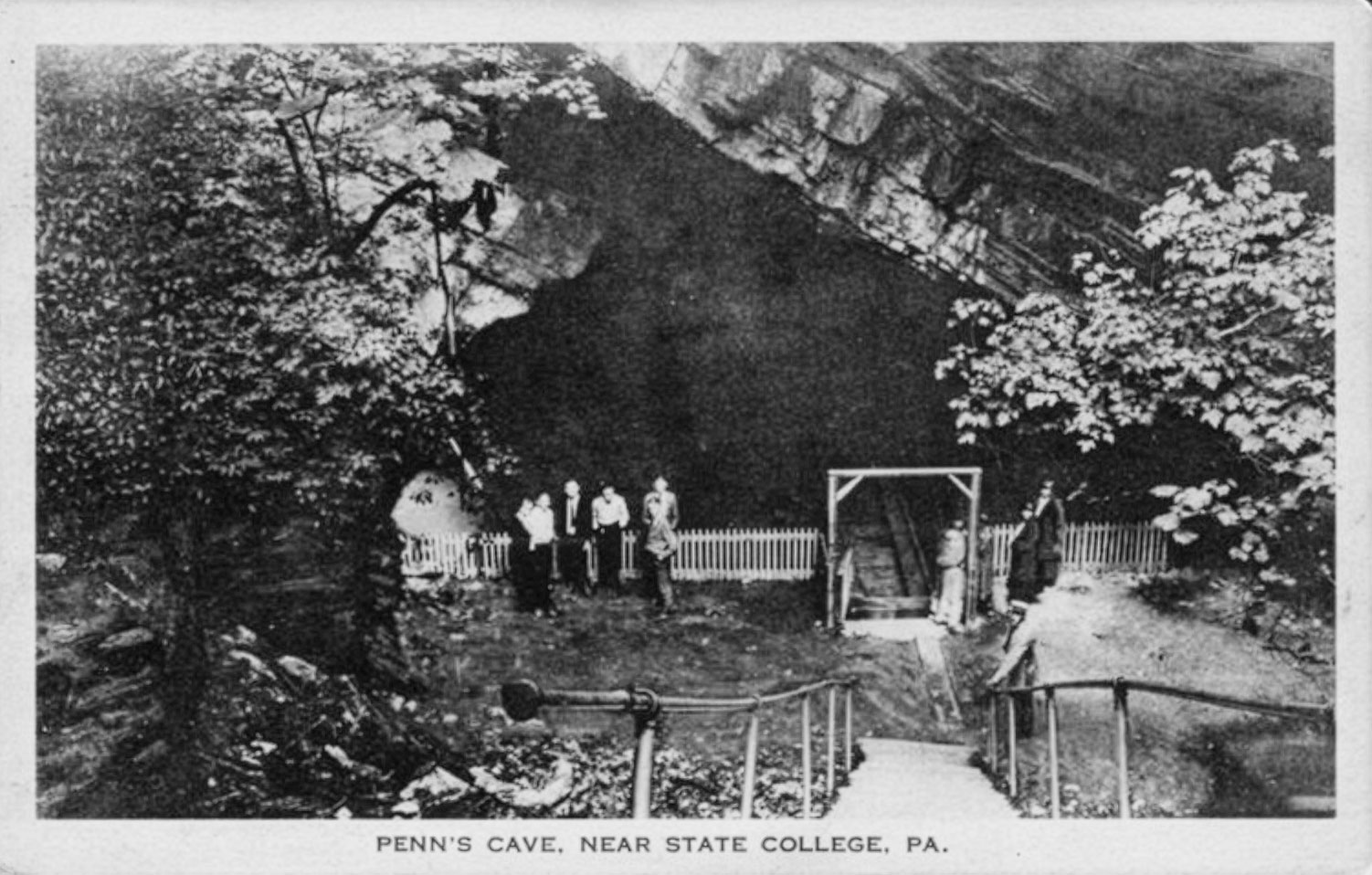 Gallery image 8