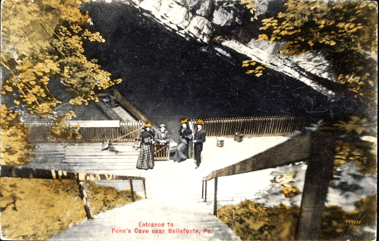 Gallery image 7